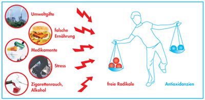 oxidativerstressKLEIN.jpg