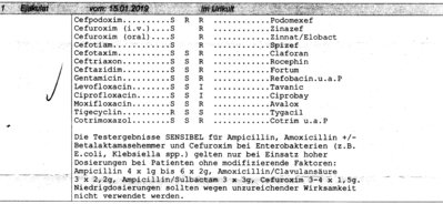 Auszug 15.1 Befund Mikrol. Labor S.2.jpg