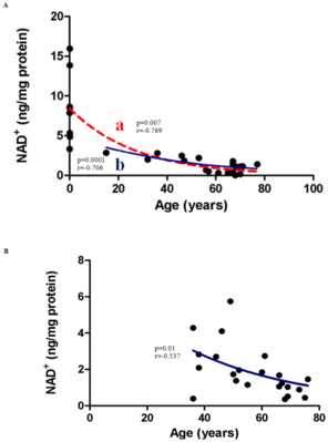 Correlation-between-NAD-levels-and-Age-in-A-Males-B-Females-A-NAD-concentrations.png