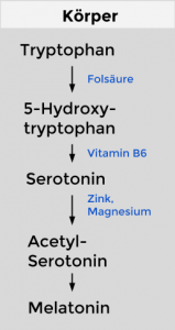 Tryptophan-Stoffwechsel-159x300.png