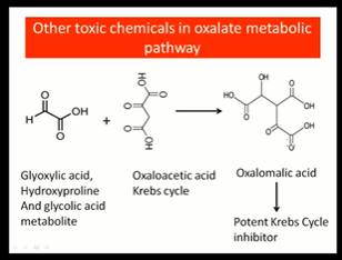 Oxalates.PNG