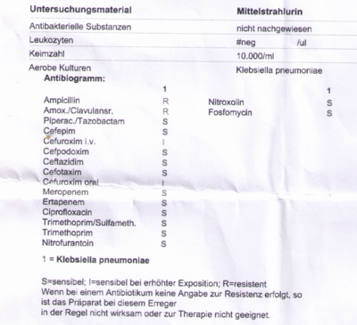Bildschirmfoto 2023-10-29 um 00.38.26.png (540.65 KiB) 105231 mal betrachtet Befund Urin Kultur