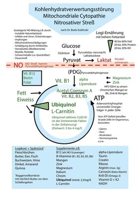 Energiestoffwechsel.JPG